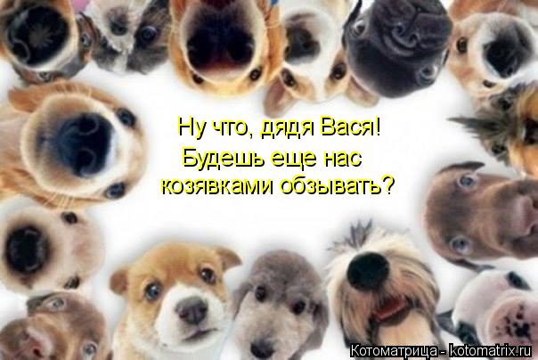 Ну что, дядя Вася! Будешь еще нас козявками обзывать?... Котоматрица: Ну что, дядя Вася! Будешь еще нас козявками обзывать?