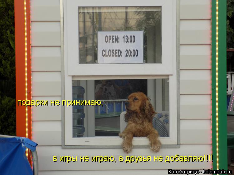 подарки не принимаю, ... Котоматрица: подарки не принимаю, в друзья не добавляю!!!! в игры не играю, в друзья не добавляю!!!!