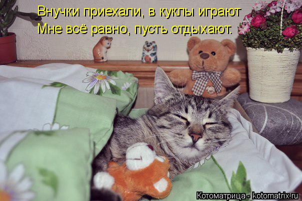 Внучки приехали, в куклы играют Мне всё равно, пусть отдыхают.... Котоматрица: Внучки приехали, в куклы играют Мне всё равно, пусть отдыхают.