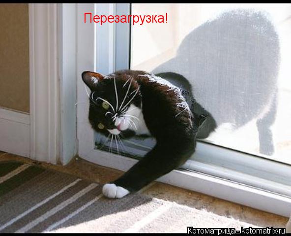 Перезагрузка!... Котоматрица: Перезагрузка!