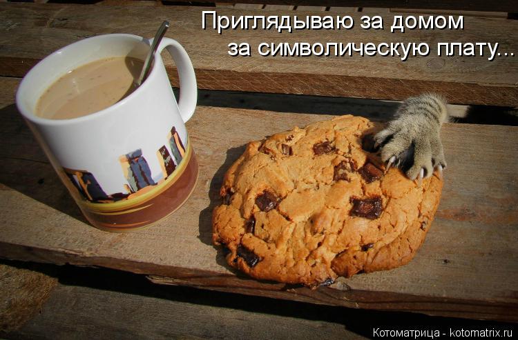 Приглядываю за домом за символическую плату...... Котоматрица: Приглядываю за домом за символическую плату...