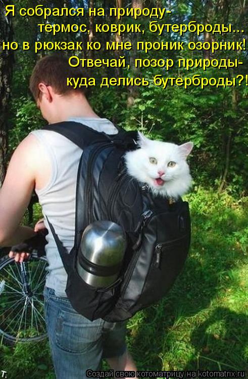 Я собрался на природу- термос, коврик, бутерброды... но в рюкзак ко мне проник озорник! Отвечай, позо... Котоматрица: Я собрался на природу- термос, коврик, бутерброды... но в рюкзак ко мне проник озорник! Отвечай, позор природы- куда делись бутерброды?!