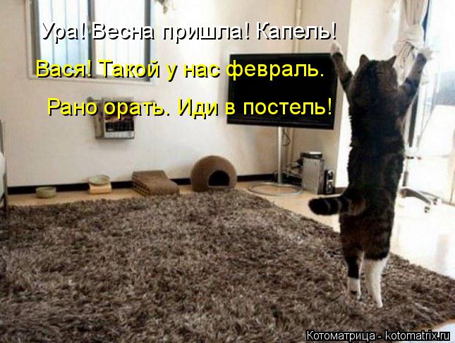 Ура! Весна пришла! Капель! Вася! Такой у нас февраль. Рано орать. Иди в постель!... Котоматрица: Ура! Весна пришла! Капель! Вася! Такой у нас февраль. Рано орать. Иди в постель!
