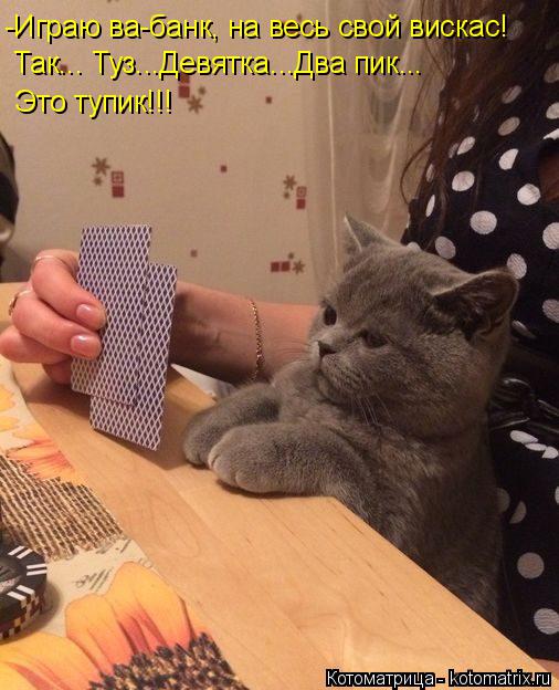 -Играю ва-банк, на весь свой вискас! Так... Туз...Девятка...Два пик... Это тупик!!!... Котоматрица: -Играю ва-банк, на весь свой вискас! Так... Туз...Девятка...Два пик... Это тупик!!!