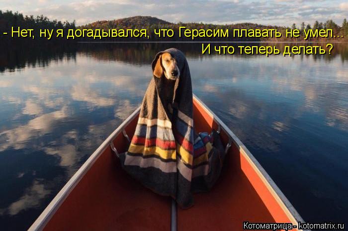 - Нет, ну я догадывался, что Герасим плавать не умел... И что теперь делать?... Котоматрица: - Нет, ну я догадывался, что Герасим плавать не умел... И что теперь делать?