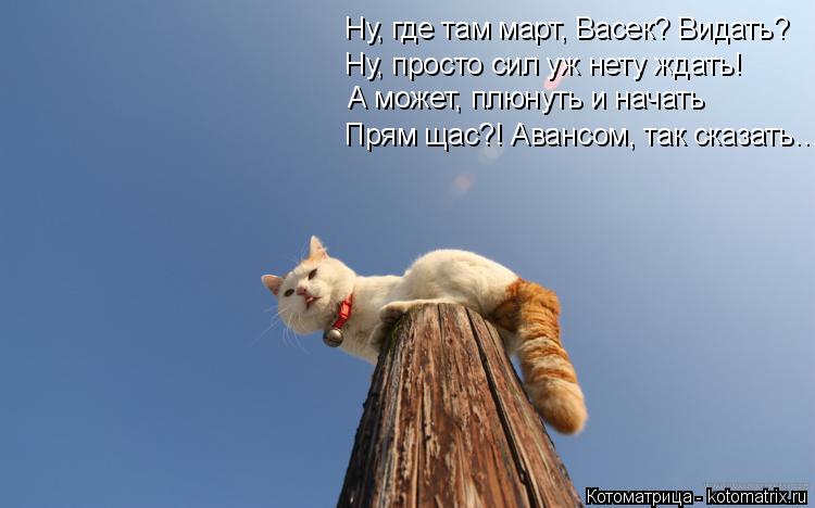 Ну, где там март, Васек? Видать? Ну, просто сил уж нету ждать! А может, плюнуть и начать Прям щас?! А... Котоматрица: Ну, где там март, Васек? Видать? Ну, просто сил уж нету ждать! А может, плюнуть и начать Прям щас?! Авансом, так сказать…