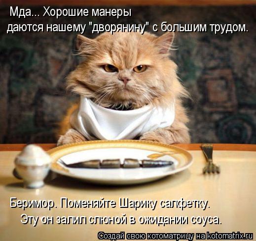 Эту он залил слюной в ожидании соуса. Беримор. Поменяйте Шарику салфетку. Мда... Хорошие манеры дают... Котоматрица: Эту он залил слюной в ожидании соуса. Беримор. Поменяйте Шарику салфетку. Мда... Хорошие манеры даются нашему "дворянину" с большим трудом.