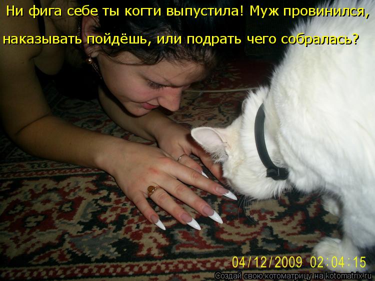 Ни фига себе ты когти выпустила! Муж провинился, наказывать пойдёшь, или подрать чего собралась?... Котоматрица: Ни фига себе ты когти выпустила! Муж провинился, наказывать пойдёшь, или подрать чего собралась?