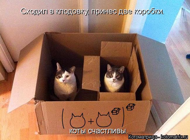 Cходил в клодовку, принес две коробки. коты счастливы.... Котоматрица: Cходил в клодовку, принес две коробки. коты счастливы.