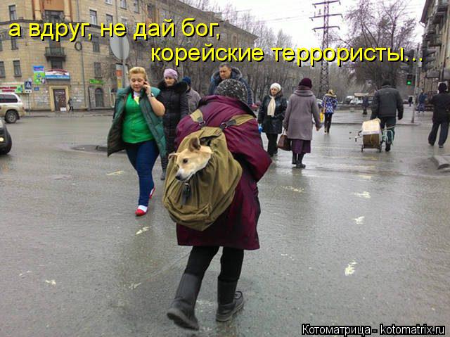 а вдруг, не дай бог, корейские террористы...... Котоматрица: а вдруг, не дай бог, корейские террористы...