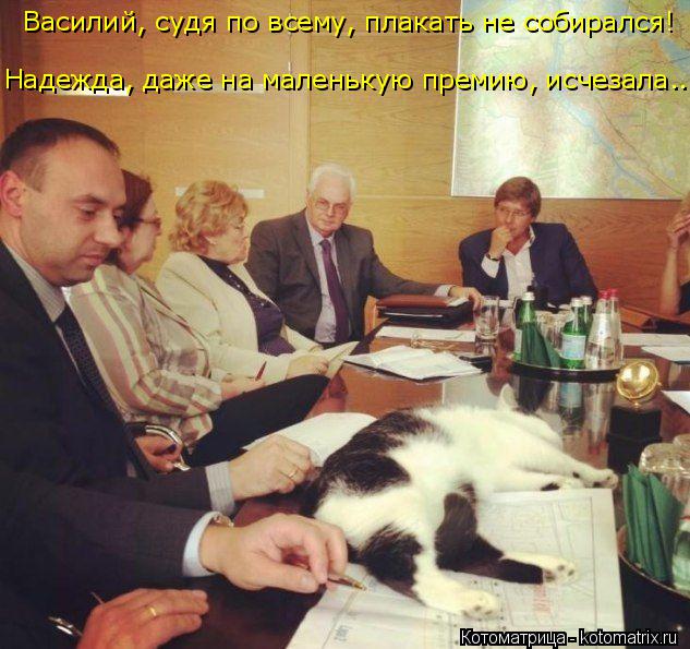 Василий, судя по всему, плакать не собирался! Надежда, даже на маленькую премию, исчезала...... Котоматрица: Василий, судя по всему, плакать не собирался! Надежда, даже на маленькую премию, исчезала...
