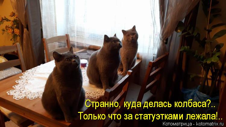 Странно, куда делась колбаса?.. Только что за статуэтками лежала!..... Котоматрица: Странно, куда делась колбаса?.. Только что за статуэтками лежала!..