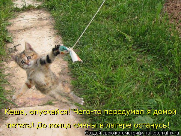 Кеша, опускайся! Чего-то передумал я домой лететь! До конца смены в лагере останусь!... Котоматрица: Кеша, опускайся! Чего-то передумал я домой лететь! До конца смены в лагере останусь!