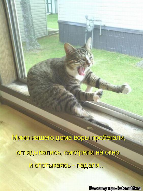 Мимо нашего дома воры пробегали, оглядывались, смотрели на окно и спотыкаясь - падали...... Котоматрица: Мимо нашего дома воры пробегали, оглядывались, смотрели на окно и спотыкаясь - падали...