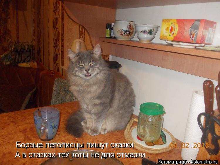 Борзые летописцы пишут сказки А в сказках тех коты не для отмазки .... Котоматрица: Борзые летописцы пишут сказки А в сказках тех коты не для отмазки .