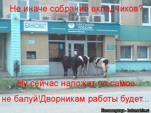 Не иначе собрание вкладчиков? Ну сейчас наложат по самое не балуй!Дворникам работы будет...... Котоматрица: Не иначе собрание вкладчиков? Ну сейчас наложат по самое не балуй!Дворникам работы будет...