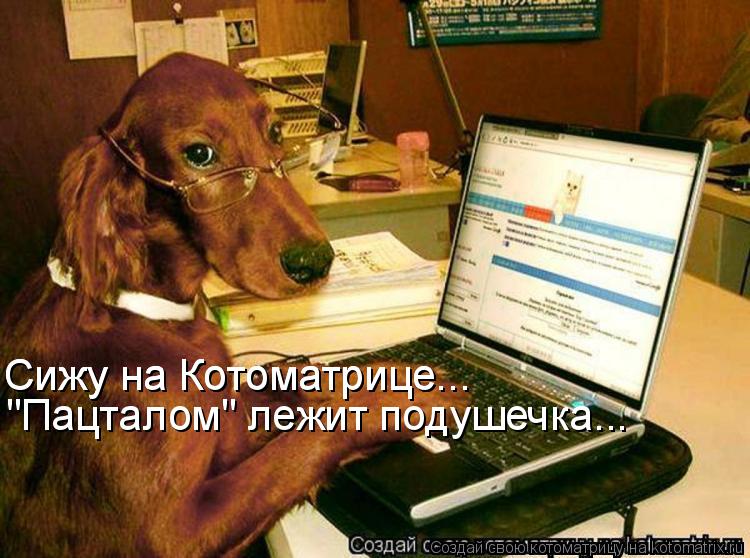 "Пацталом" лежит подушечка... Сижу на Котоматрице... Сижу на Котоматрице...... Котоматрица: "Пацталом" лежит подушечка... Сижу на Котоматрице... Сижу на Котоматрице...