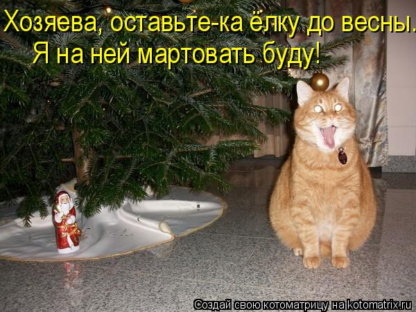 Хозяева, оставьте-ка ёлку до весны. Я на ней мартовать буду!... Котоматрица: Хозяева, оставьте-ка ёлку до весны. Я на ней мартовать буду!