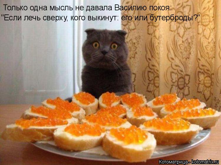 Котоматрица: Только одна мысль не давала Василию покоя: "Если лечь сверху, кого выкинут: его или бутерброды?"