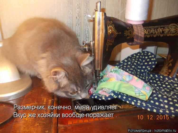 Размерчик, конечно, меня удивляет Вкус же хозяйки вообще поражает .... Котоматрица: Размерчик, конечно, меня удивляет Вкус же хозяйки вообще поражает .