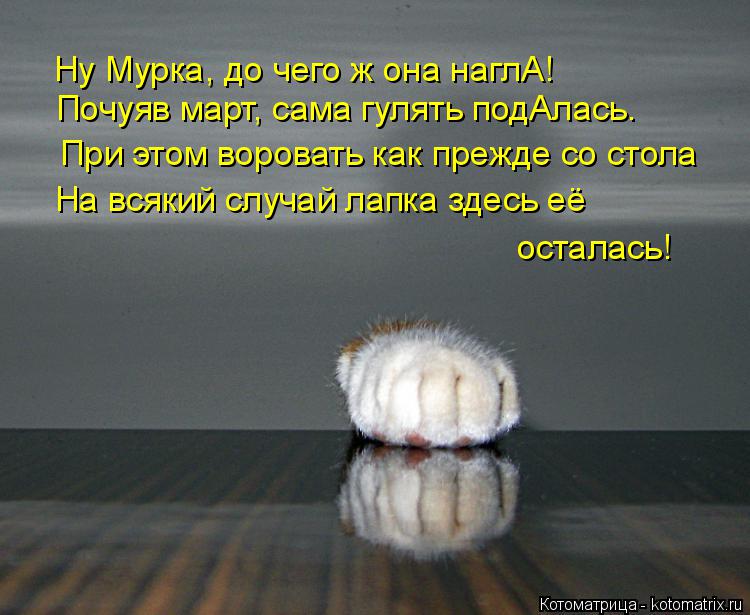 Ну Мурка, до чего ж она наглА! Почуяв март, сама гулять подАлась. При этом воровать как прежде со сто... Котоматрица: Ну Мурка, до чего ж она наглА! Почуяв март, сама гулять подАлась. При этом воровать как прежде со стола На всякий случай лапка здесь её остала