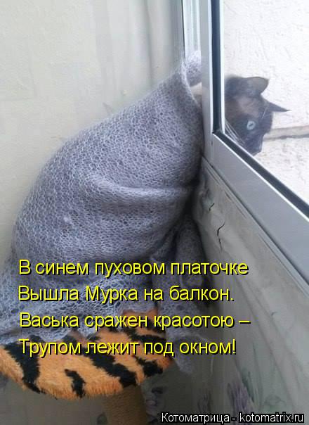 В синем пуховом платочке Вышла Мурка на балкон. Васька сражен красотою – Трупом лежит под окном!... Котоматрица: В синем пуховом платочке Вышла Мурка на балкон. Васька сражен красотою – Трупом лежит под окном!