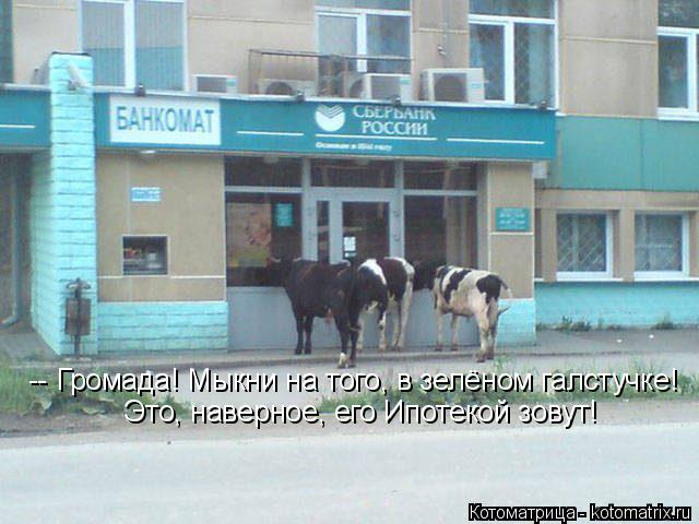 -- Громада! Мыкни на того, в зелёном галстучке! Это, наверное, его Ипотекой зовут!... Котоматрица: -- Громада! Мыкни на того, в зелёном галстучке! Это, наверное, его Ипотекой зовут!