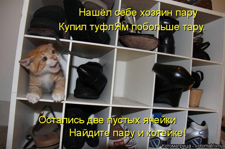 Нашёл себе хозяин пару Купил туфлЯм побольше тару. Остались две пустых ячейки Найдите пару и котейке!... Котоматрица: Нашёл себе хозяин пару Купил туфлЯм побольше тару. Остались две пустых ячейки Найдите пару и котейке!