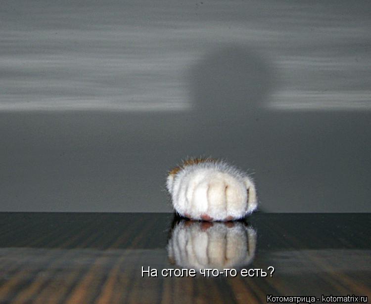 На столе что-то есть?... Котоматрица: На столе что-то есть?