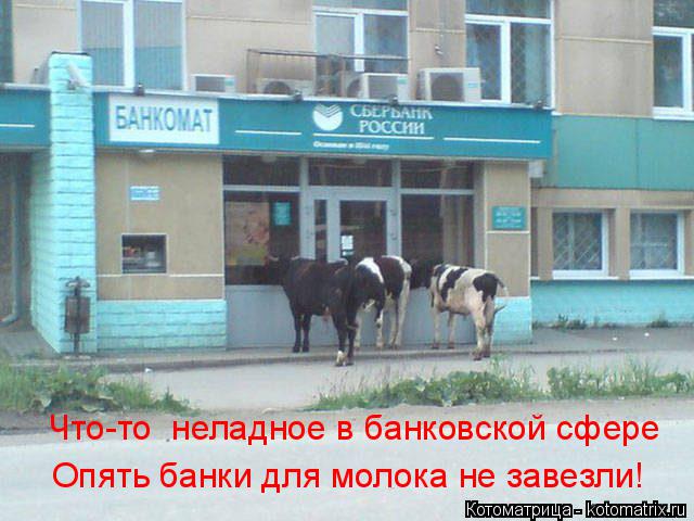 Что-то неладное в банковской сфере Опять банки для молока не завезли!... Котоматрица: Что-то неладное в банковской сфере Опять банки для молока не завезли!
