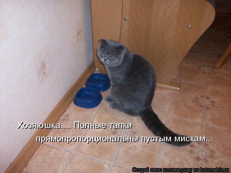 Хозяюшка.... Полные тапки прямопропорциональны пустым мискам...... Котоматрица: Хозяюшка.... Полные тапки прямопропорциональны пустым мискам...