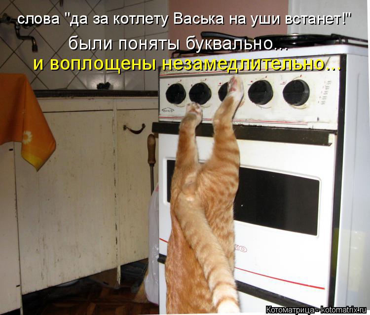 слова "да за котлету Васька на уши встанет!" и воплощены незамедлительно... были поняты буквально...... Котоматрица: слова "да за котлету Васька на уши встанет!" и воплощены незамедлительно... были поняты буквально...