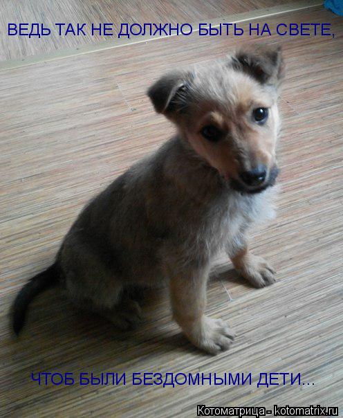 ВЕДЬ ТАК НЕ ДОЛЖНО БЫТЬ НА СВЕТЕ, ЧТОБ БЫЛИ БЕЗДОМНЫМИ ДЕТИ...... Котоматрица: ВЕДЬ ТАК НЕ ДОЛЖНО БЫТЬ НА СВЕТЕ, ЧТОБ БЫЛИ БЕЗДОМНЫМИ ДЕТИ...