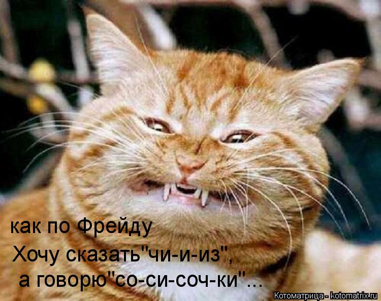 как по Фрейду Хочу сказать"чи-и-из", а говорю"со-си-соч-ки"...... Котоматрица: как по Фрейду Хочу сказать"чи-и-из", а говорю"со-си-соч-ки"...