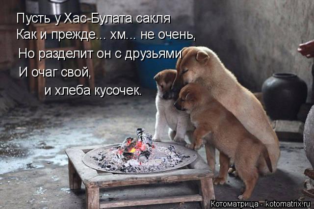 Пусть у Хас-Булата сакля Как и прежде... хм... не очень, Но разделит он с друзьями И очаг свой, и хле... Котоматрица: Пусть у Хас-Булата сакля Как и прежде... хм... не очень, Но разделит он с друзьями И очаг свой, и хлеба кусочек.