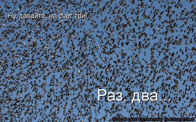 Ну, давайте, на счет три! Раз, два...... Котоматрица: Ну, давайте, на счет три! Раз, два...