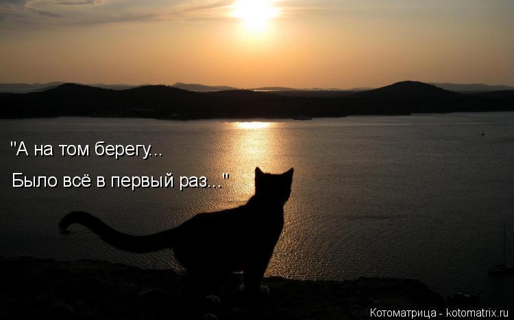 "А на том берегу... Было всё в первый раз..."... Котоматрица: "А на том берегу... Было всё в первый раз..."
