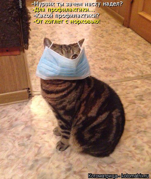-Мурзик ты зачем маску надел? -Для профилактики... -Какой профилактики? -От котлет с морковью!... Котоматрица: -Мурзик ты зачем маску надел? -Для профилактики... -Какой профилактики? -От котлет с морковью!