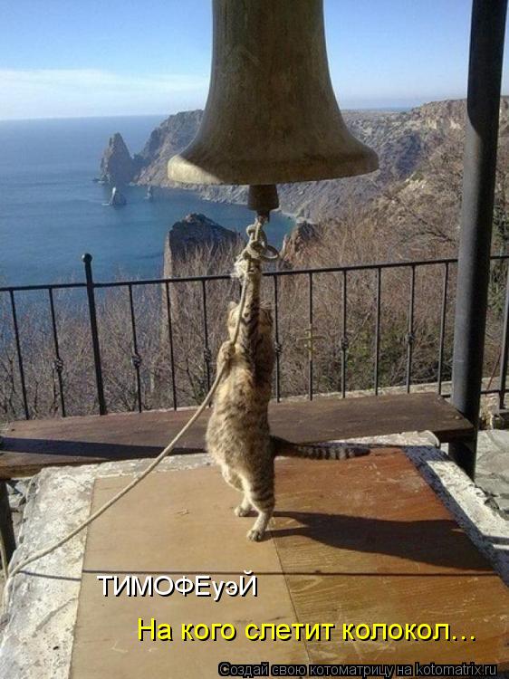 ТИМОФЕуэЙ На кого слетит колокол…... Котоматрица: ТИМОФЕуэЙ На кого слетит колокол…