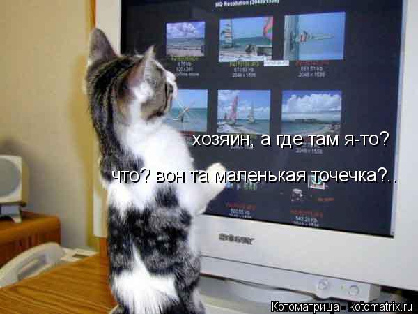 хозяин, а где там я-то? что? вон та маленькая точечка?..... Котоматрица: хозяин, а где там я-то? что? вон та маленькая точечка?..