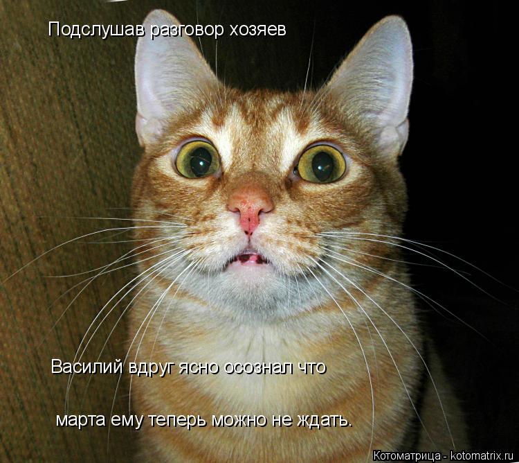 марта ему теперь можно не ждать. Подслушав разговор хозяев Василий вдруг ясно осознал что... Котоматрица: марта ему теперь можно не ждать. Подслушав разговор хозяев Василий вдруг ясно осознал что