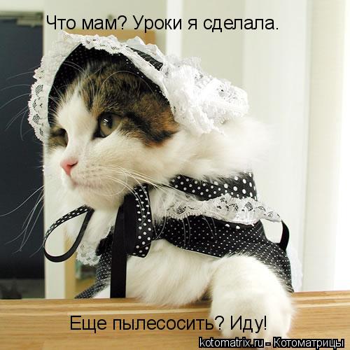 Что мам? Уроки я сделала. Еще пылесосить? Иду!... Котоматрица: Что мам? Уроки я сделала. Еще пылесосить? Иду!