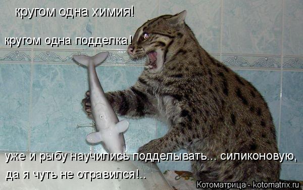 кругом одна химия! кругом одна подделка! уже и рыбу научились подделывать... силиконовую, да я чуть н... Котоматрица: кругом одна химия! кругом одна подделка! уже и рыбу научились подделывать... силиконовую, да я чуть не отравился!..