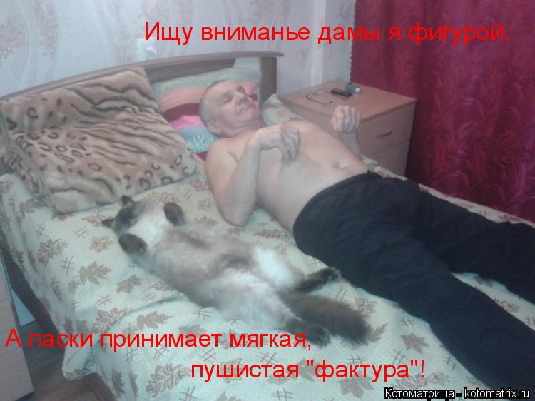 Ищу вниманье дамы я фигурой. А ласки принимает мягкая, пушистая "фактура"!... Котоматрица: Ищу вниманье дамы я фигурой. А ласки принимает мягкая, пушистая "фактура"!