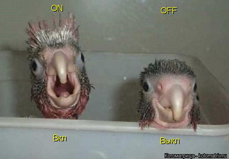 ON OFF Вкл Выкл... Котоматрица: ON OFF Вкл Выкл