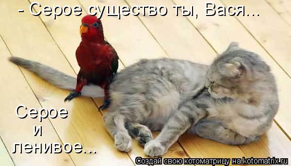 - Серое существо ты, Вася... Серое и ленивое...... Котоматрица: - Серое существо ты, Вася... Серое и ленивое...