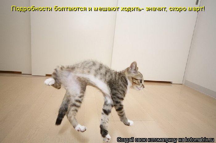 Подробности болтаются и мешают ходить- значит, скоро март!... Котоматрица: Подробности болтаются и мешают ходить- значит, скоро март!