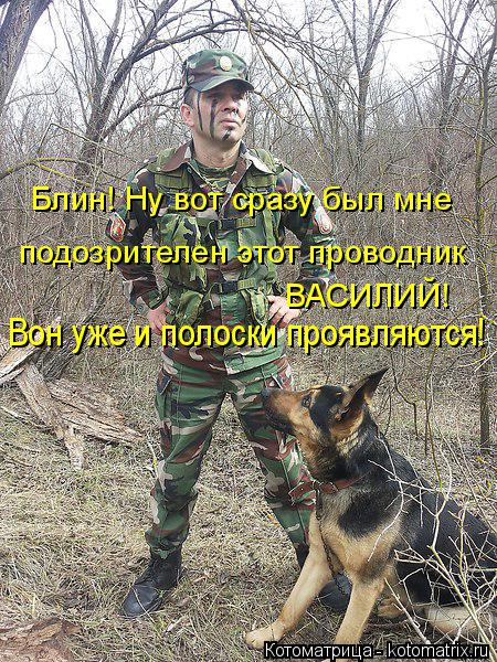 Блин! Ну вот сразу был мне подозрителен этот проводник ВАСИЛИЙ! Вон уже и полоски проявляются!... Котоматрица: Блин! Ну вот сразу был мне подозрителен этот проводник ВАСИЛИЙ! Вон уже и полоски проявляются!