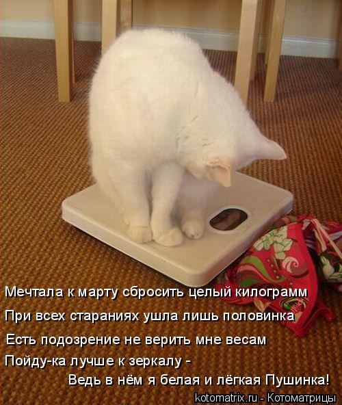 Мечтала к марту сбросить целый килограмм При всех стараниях ушла лишь половинка Есть подозрение не ве... Котоматрица: Мечтала к марту сбросить целый килограмм При всех стараниях ушла лишь половинка Есть подозрение не верить мне весам Пойду-ка лучше к зерка