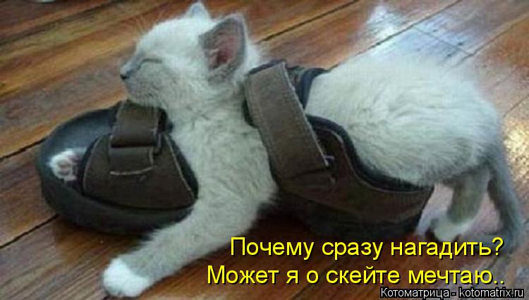 Почему сразу нагадить , Почему сразу нагадить? Может я о скейте мечтаю..... Котоматрица: Почему сразу нагадить , Почему сразу нагадить? Может я о скейте мечтаю..